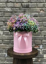 Цветочная композиция из Гипсофила и Розы в шляпной коробке в Энергетиков