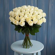 Букет 51 Белая роза Эдлесс Лав #REPLACE_PRED# Энергетиков