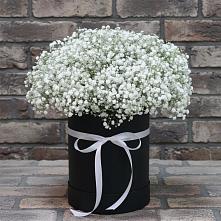 Цветочная композиция из Гипсофила в шляпной коробке в Энергетиков