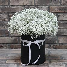 Цветочная композиция из Гипсофила в шляпной коробке в Энергетиков