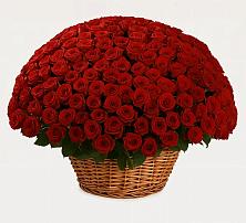 Премиум букет из: Розы в Энергетиков